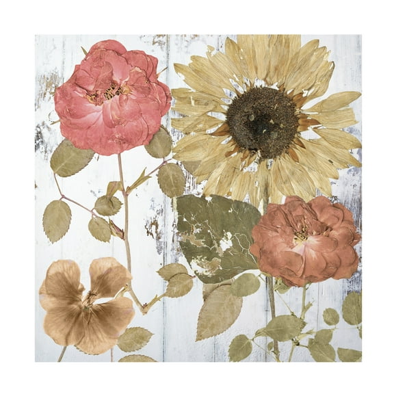 Canvas Wall Art - Sasha 'Earth to Petals II' Wall Art for Living Room, Bedroom, or Office Décor by Trademark Fine Art - 14 x 14 Inches