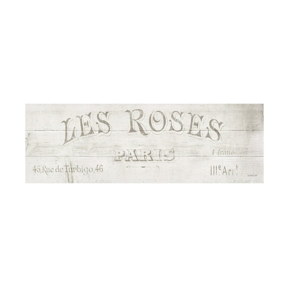 Trademark Fine Art 'French Roses VII' Canvas Art by Danhui Nai