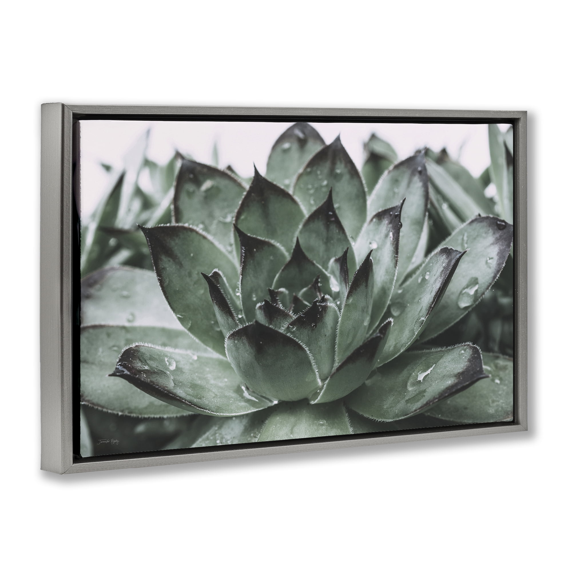 Stupell Industries Succulent with Rain Droplets Plants & Flowers Painting Gray Floater Framed Canvas Art Print Wall Art, 25 x 17
