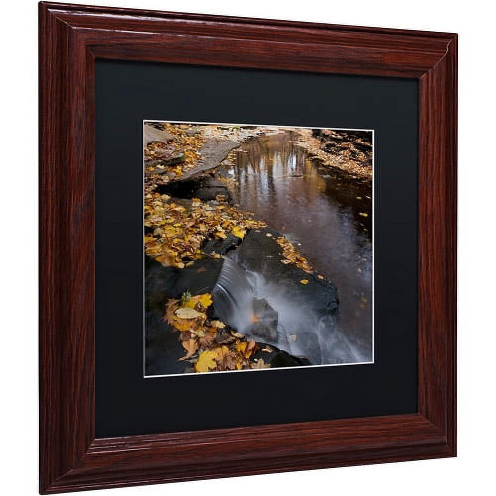 Trademark Fine Art "Lakeview Autumn Waterfall #2" Canvas Art by Kurt Shaffer Black Matte, Wood Frame