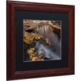 thumbnail image 2 of Trademark Fine Art "Lakeview Autumn Waterfall #2" Canvas Art by Kurt Shaffer Black Matte, Wood Frame, 2 of 4