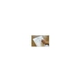 thumbnail image 4 of Tabbies, TAB14530, Patient Sign-In Label Forms, 125 / Pack, Salmon, 4 of 4