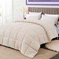 thumbnail image 5 of BedDecor 300 GSM 1 Pcs Solid (Ivory,Full / Queen) 100% Egyptian Cotton Base Comforter, 5 of 8