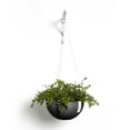 thumbnail image 4 of Ecopots Hanging Brussels Durable Modern Round Indoor/Outdoor Recycled Based Composite Flower Pot Planter, Dark Grey, 10.5", 4 of 4