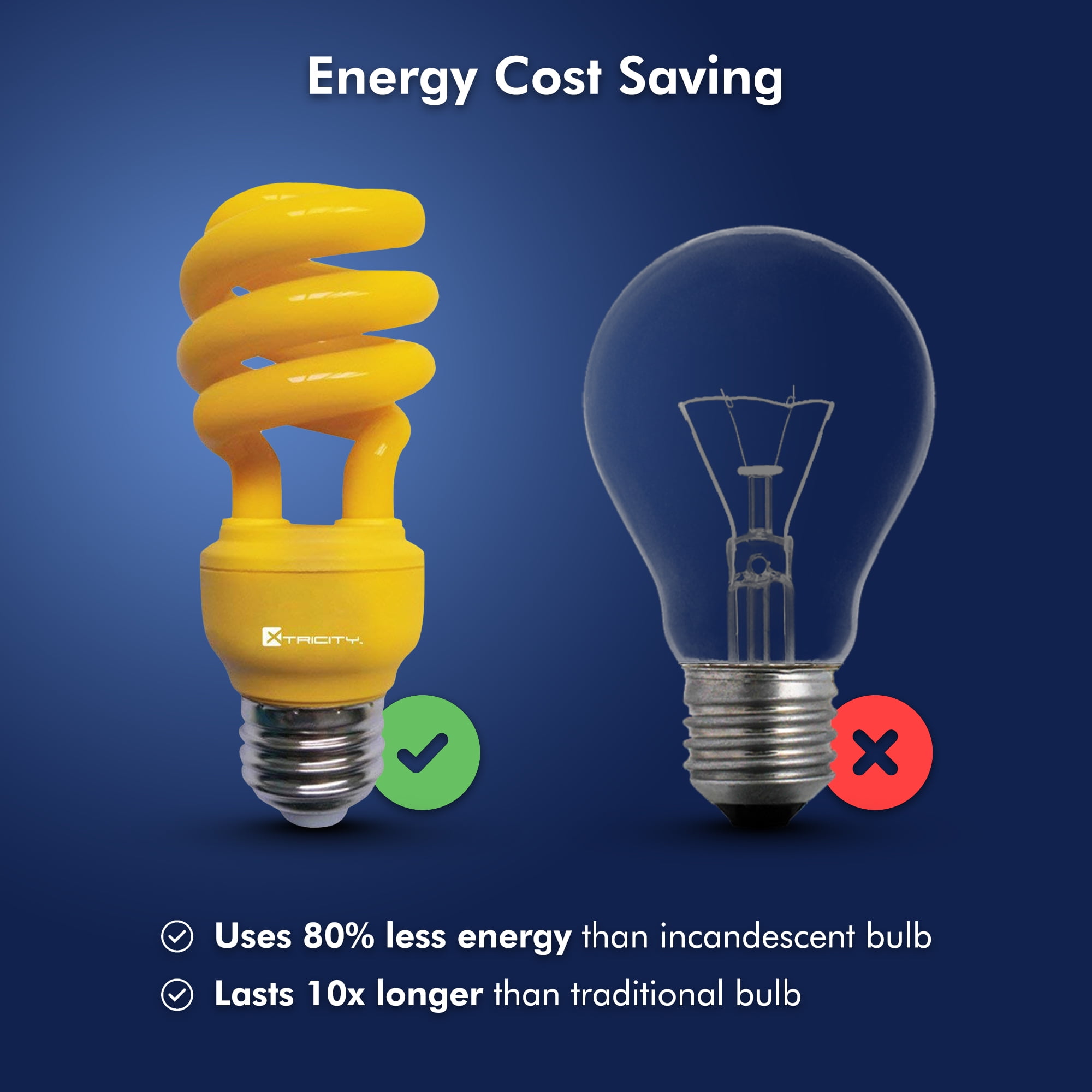 Cfl 2024 bug light