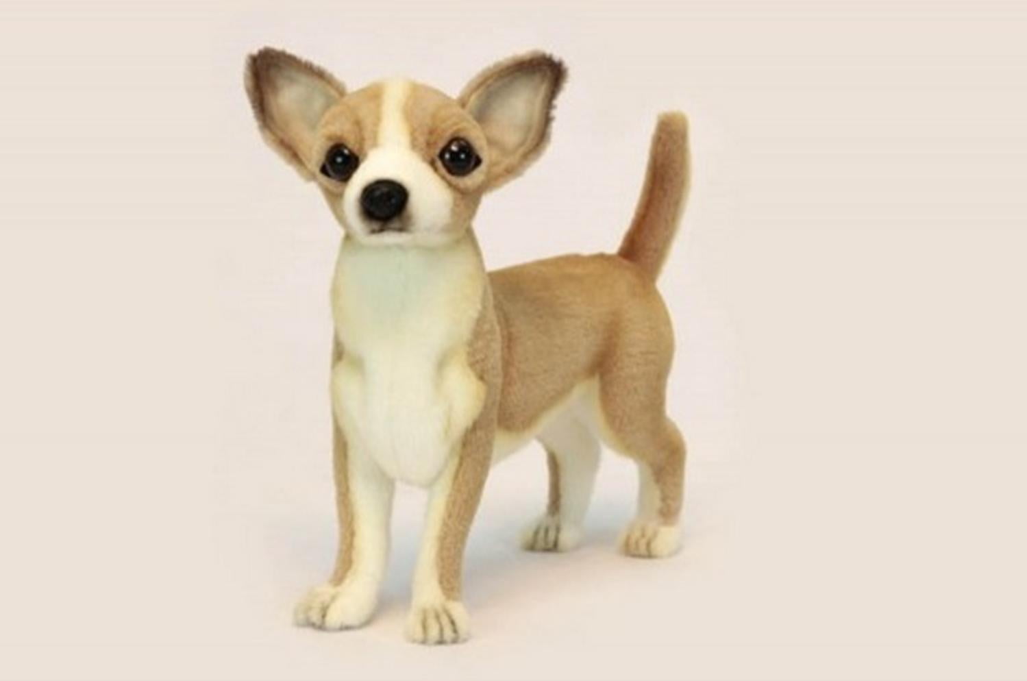 Pack of 3 LifeLike Handcrafted Extra Soft Plush Chihuahua Puppy
