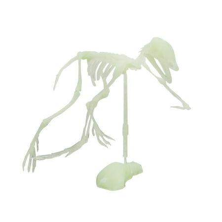 

Jungdeepe Hang Loose Ornament Christmas Ornament Cute Jasmine Ornament Small Christmas Ornament Teacher Ornament Bulk Glow In The Dark Dinosaur Skeleton Model DIY Assembling Dinosaur