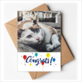 thumbnail image 1 of Animal Colorful Cat Photograph Picture Wedding Cards Congratulations Greeting Envelopes, 1 of 3