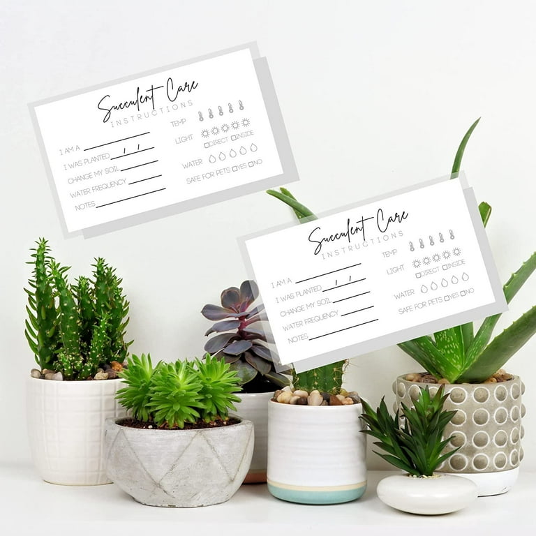 Succulent Care Cards Physical Printed 2" x 3.5" inches Business Card Size Plant Care Minimalist White Design