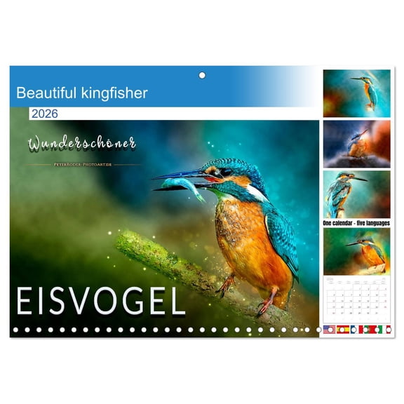 Beautiful kingfisher (Monthly Wall Calendar 2026 11.7 x 16.5 (open)), CALVENDO 14 Month Calendar