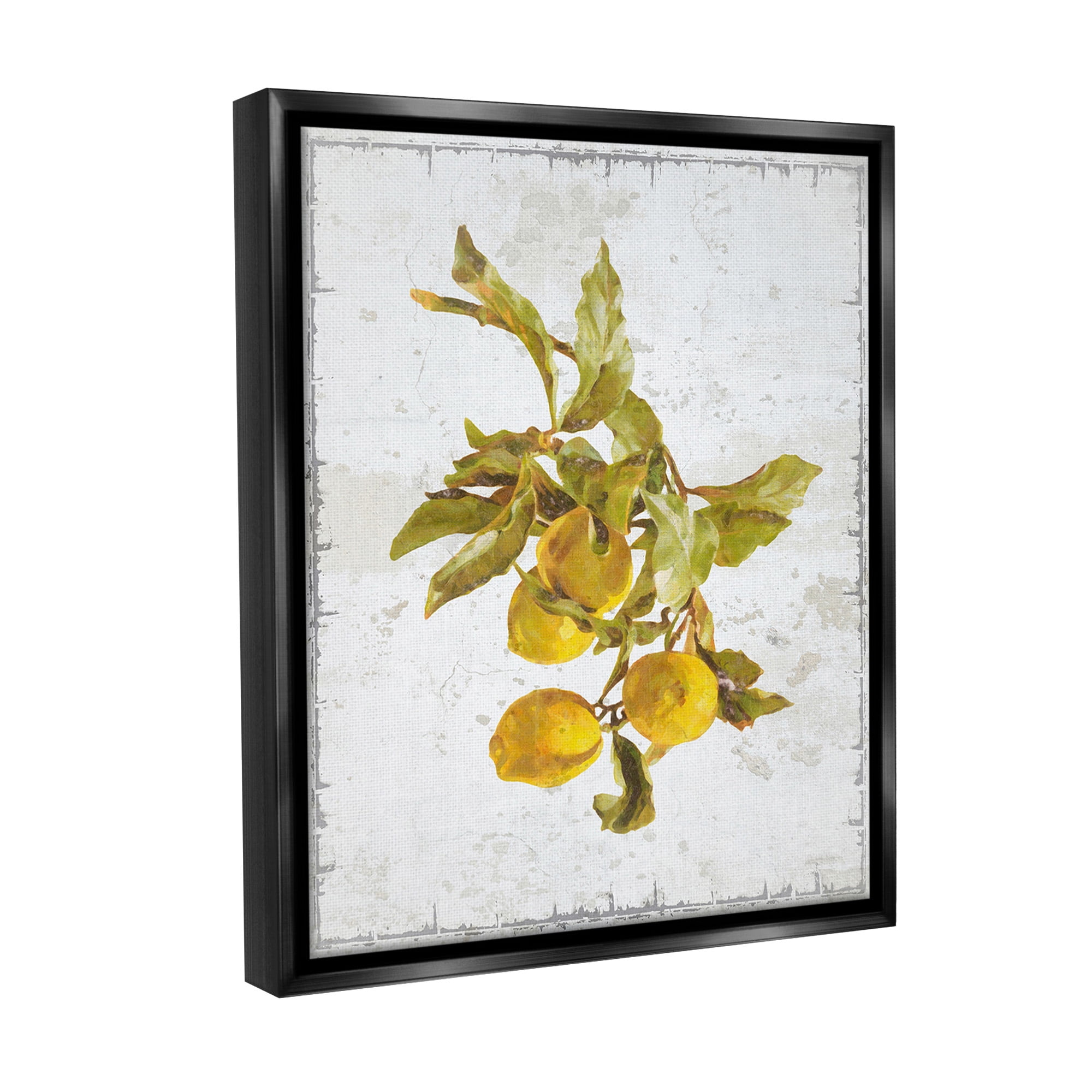 Stupell Industries Natural Lemon Branch Food & Beverage Painting Black Floater Framed Canvas Art Print Wall Art, 17 x 21