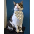 thumbnail image 2 of Tabby Grey Cat Seamless Pattern Bandana  -Image by Shutterstock,  x-Large, 2 of 4