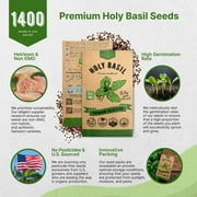 Organo Republic Holy Basil Seeds 0.5 g – 1,400 Non‑GMO Heirloom Basil Seeds – Indoor and Outdoor Herb Seed Packet for Home Garden, Culinary & Medicinal Planting