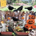 thumbnail image 4 of TETOU 6pcs Halloween Black Feathered Foam Crows Realistic Bird Halloween Ravens Decor Props, 4 of 7