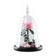 thumbnail image 1 of Regalo de flor de rosa Flor eterna para siempre Regalo de San Valentín Regalo romántico para Rosa oscuro, 1 of 9