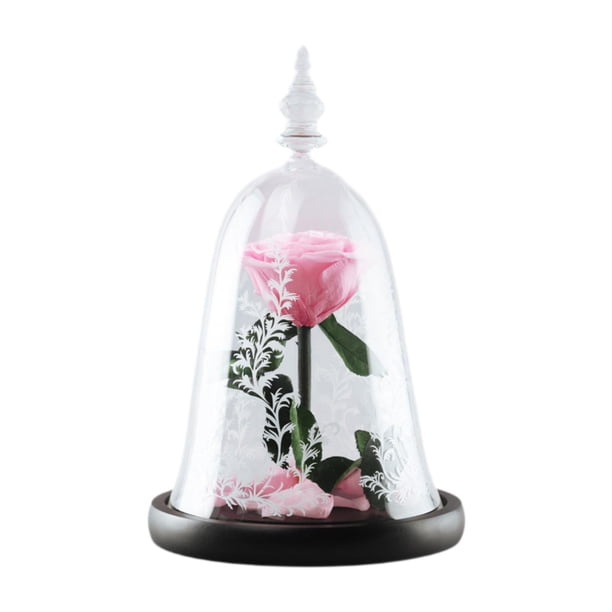 Regalo de rosa para San Valentín, rosa eterna para ella, boda para mujer. Rosa oscuro