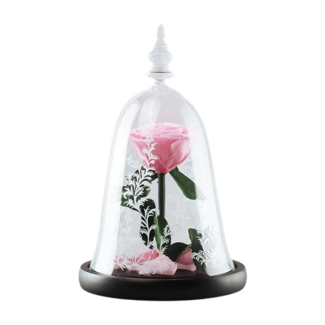 Regalo de rosa, regalo romántico, regalo de San Valentín, flor preservada para ella Rosa oscuro