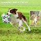 thumbnail image 4 of Pelota de fútbol para perros Amasiver World Cup para perros pequeños y medianos, 4 of 7