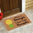 thumbnail image 4 of TIELUTT Pineapple Letter Printed Door Mat Door Carpet for Entrance Front Throw Pillows and Blanket Set and Striped Throw Blanket Area Rugs Living Room Rug for Bed Room Softest Throw Blanket, 4 of 4