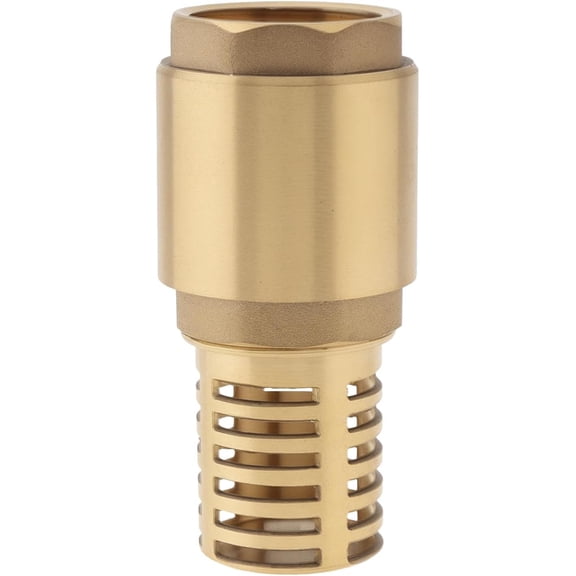 CATPAN 1 Inch Brass Foot Valve with Filter, Non Return Spring Vertical Check Valves Bottom Valve for Water Pump, Prevent Backflow, Irrigation, Industrial DN25