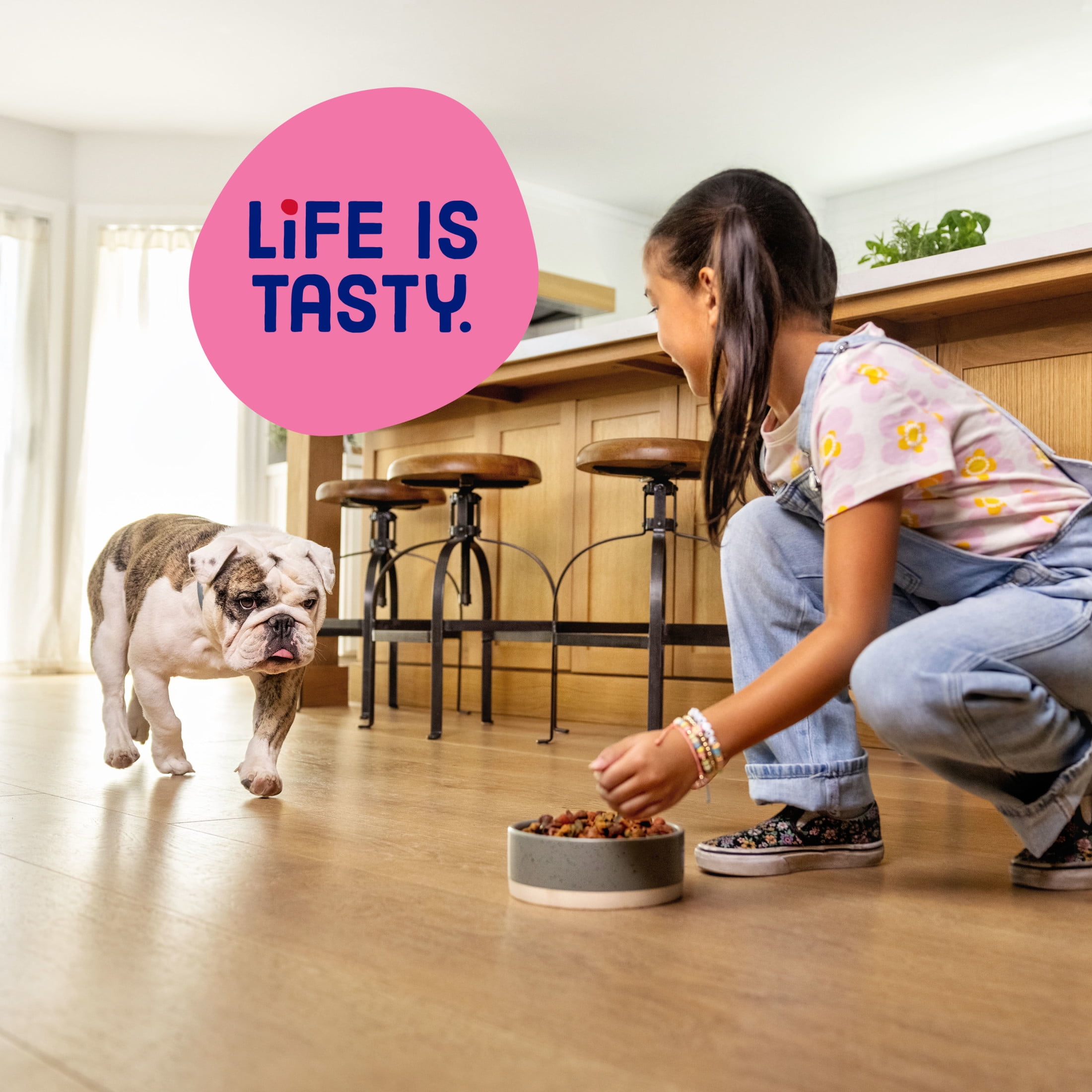 Kibbles 'n Bits Mini Bits Small Breed Dry Dog Food Savory Bacon & Steak Flavor, 3.5 lb.