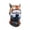 Coffee, variant on Wolf Face Balaclava Ski Mask Windproof For Winter Outdoor Skiing Motorcycling Men Women Warm Full Coverage Fun