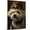 Bichon Frise, variant on Tibetan Terrier Wall Art Dog Canvas Paintting Wall Art Vintage Dog Poster Unframe Funny Pet Prints For Room Décor