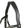 thumbnail image 4 of Horze Classic Dressage Ergonomic Bridle with Curved Browband, 4 of 7