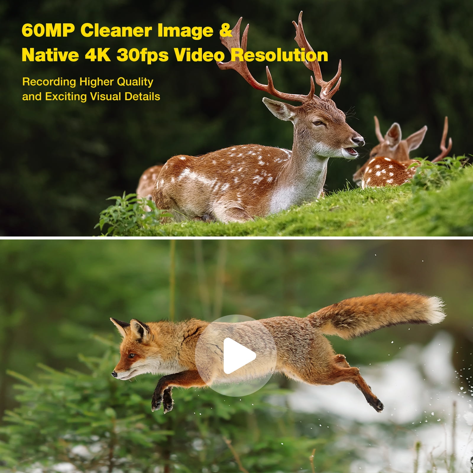 CAMPARK Trail Game Camera with SD Card Native 4K 60MP 30FPS WiFi Starlight Night Vision Dual Lens Bluetooth IMX458 Sensors Waterproof Hunting Deer Camera for Outdoor Wildlife Monitoring