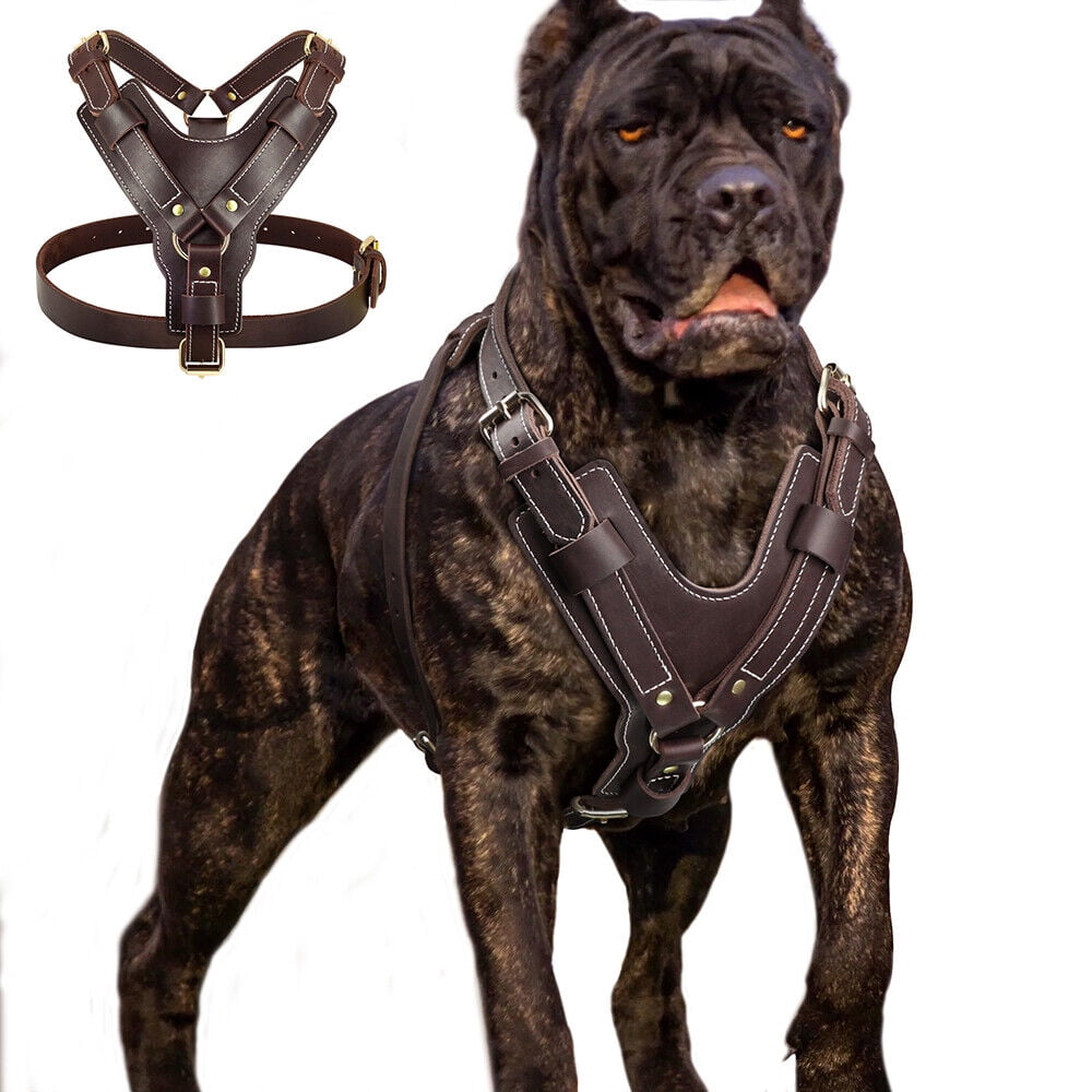 Pet Artist Heavy Duty Genuine Leather Dog Harness Adjustable for
