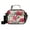 Red Flowers and Leaves, variant on Insulated Lunch Bag 6L Leak-Proof Lunch Box with Shoulder Strap Multiple Pockets Lunch Tote Vibrant and Colorful Graffiti Patterns