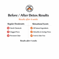 thumbnail image 4 of Skinsational Scent All-Natural Solid Deodorant No Baking Soda No Aluminum for Men : Confidence, 4 of 7