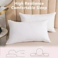 thumbnail image 5 of RXIRUCGD Good Elasticity Detachable White Down Filled Hotel Pillow Core, 5 of 6