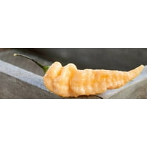 Peach Bhut Jolokia Heirloom Ghost Pepper Premium Seeds Packet