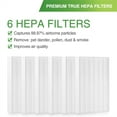 thumbnail image 6 of True HEPA Replacement Filter Compatible With Honeywell HPA300,HPA200,HPA100,HPA090,HPA5300 Air Purifier 6pcs, 6 of 9
