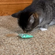 Kitty City Natural Ground Catnip with Silvervine, Premium Blend for Cat Play and Training