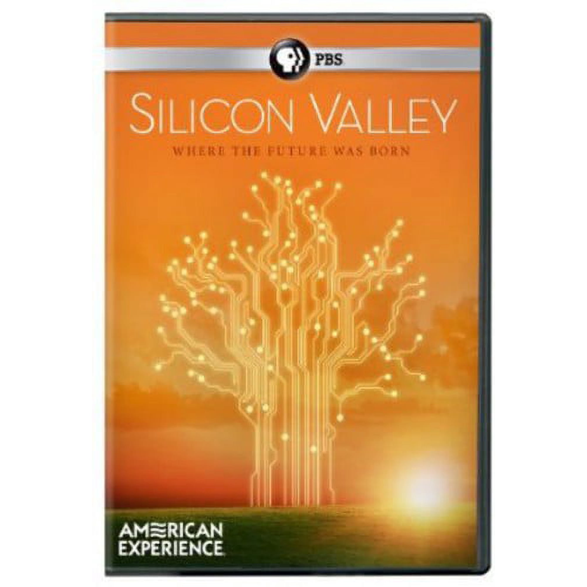 American Experience: Silicon Valley (The Titans) (DVD), PBS (Direct), Special Interests