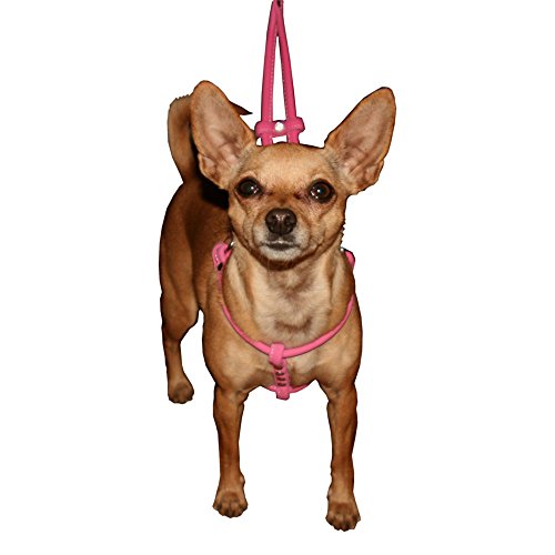 hip doggie harness