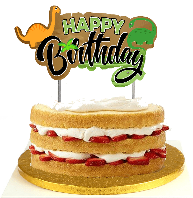 Birthday Party Digital File Printable Cake Decoration Instant Download Prehistoric Dinosaurs Birthday 8 Round Cake Topper
