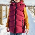 thumbnail image 2 of OGLCCG Girl's Puffer Vest Lightweight Water Repellent Sleeveless Full Zip Down Vest with Pockets Solid Color Winter Warm Outerwear 5-10 Years, 2 of 3