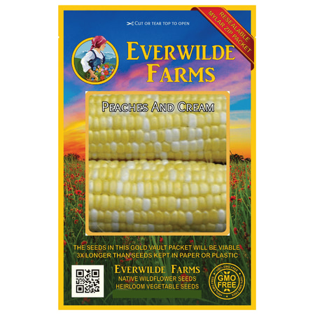 Everwilde Farms - 100 Peaches And Cream F1 Hybrid Bicolor Sweet Corn Seeds - Gold Vault Jumbo Bulk Seed (Best Sweet Corn To Plant)