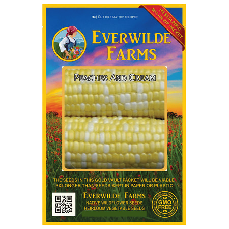- Everwilde Farms - 100 Peaches And Cream F1 Hybrid Bicolor Sweet Corn Seeds - Gold Vault Jumbo Bulk Seed Packet