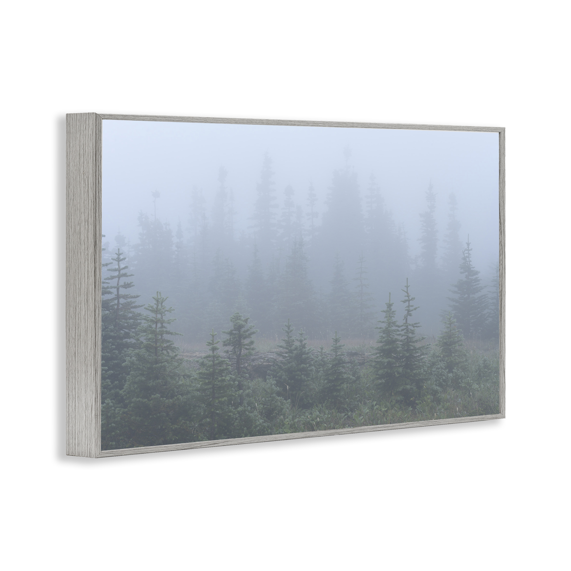 Stupell Industries Foggy Forest Trees Landscape Photography Gray Framed Art Print Wall Art, 24 x 16