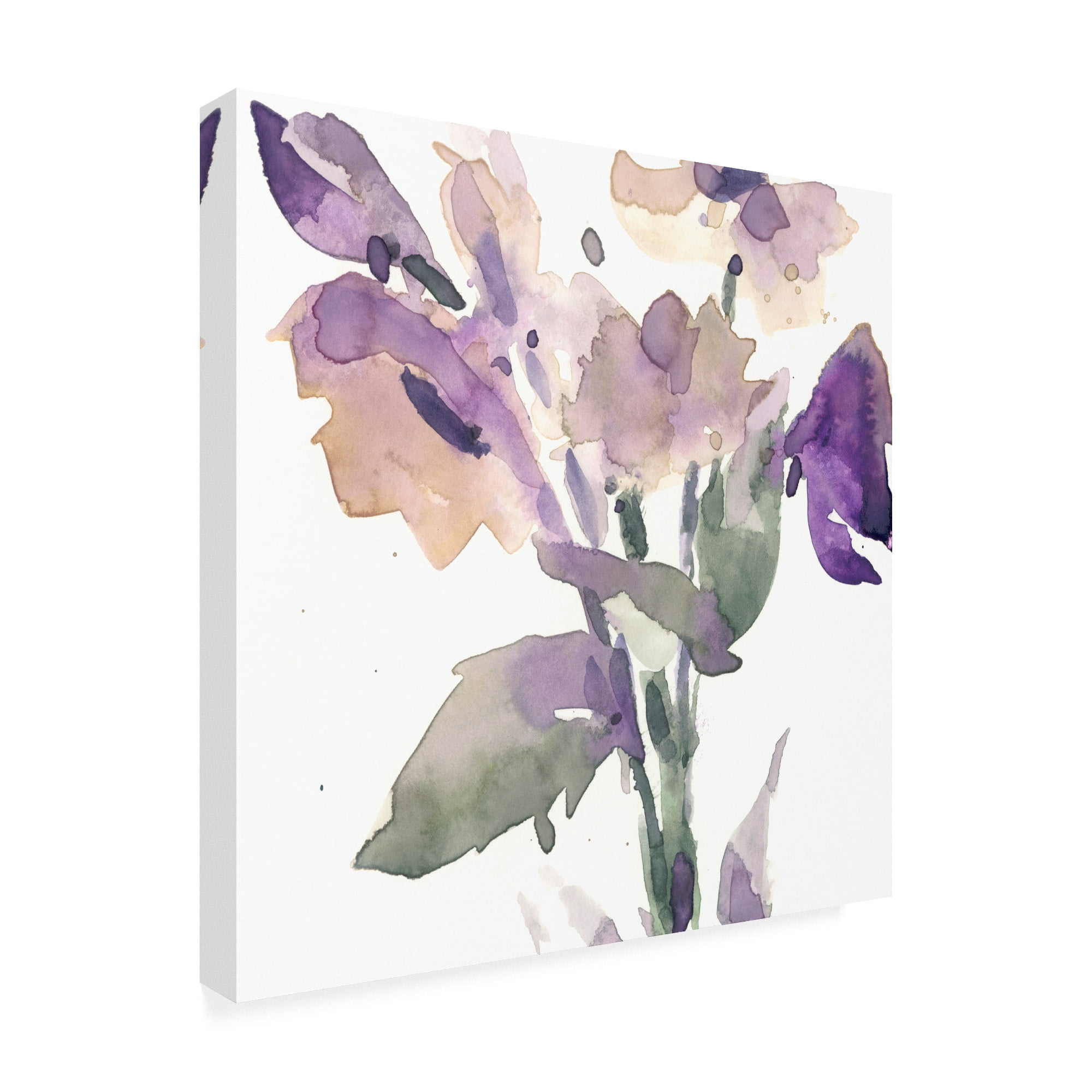 Trademark Fine Art 'Garden Blooms II' Canvas Art by Samuel Dixon