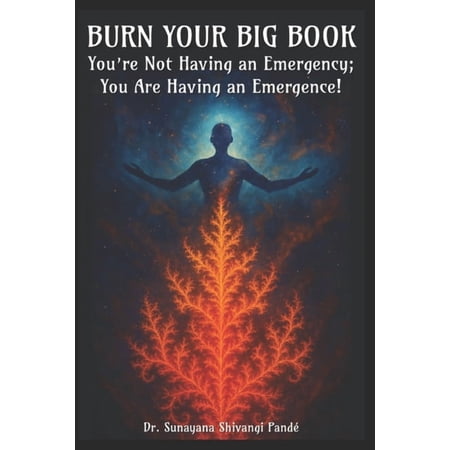 Ripplemind Reset(tm) Recovery Books Burn Your Big Book: You're Not Having an Emergency; You're Having an Emergence!, (Paperback)