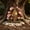 #370-B, variant on Cheapark Wooden Tree Hole Decor Garden Tree Stump Ornament for Outdoor Yard Lawn Whimsical Landscape Decoration Gift