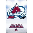 thumbnail image 4 of NHL Colorado Avalanche - Logo 17 Wall Poster, 22.375" x 34" Framed, 4 of 4