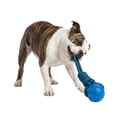 thumbnail image 1 of One Paw, Tug Rope & Ball Dog Toy, Tug of War, Blue, for Dogs, 1 of 6