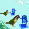 thumbnail image 4 of EastVita Macaws Trainer With Bell Foraging Puzzles Toys Chewing Training Push-Pull Interactive Bird Tabletop Trick Toy, 4 of 6