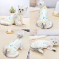 thumbnail image 5 of Anti-mite for Wound Surgical After Surgery Wear Dress Recovery Suits Cat Clothes Pet Supplies Cat Vest YELLOW M, 5 of 8
